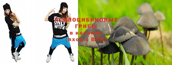 тгк Верея