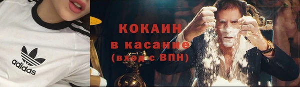 шишки Волоколамск
