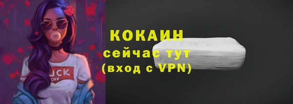 шишки Волоколамск