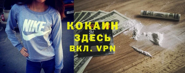 шишки Волоколамск