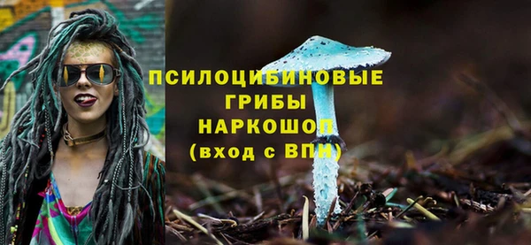 бошки Володарск